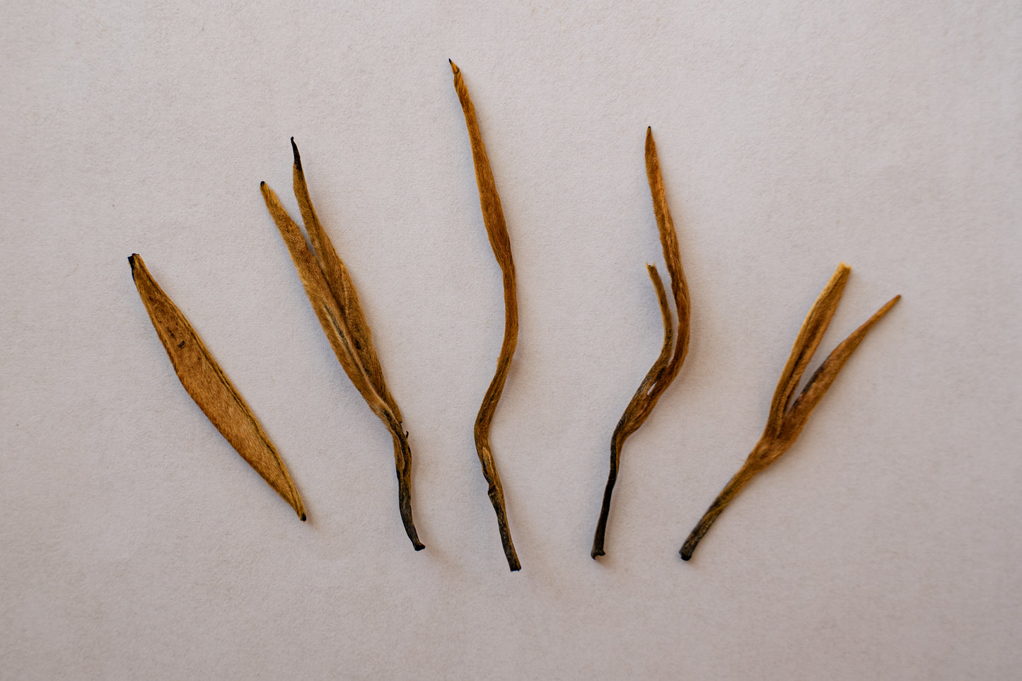 Yunnan Golden Needles